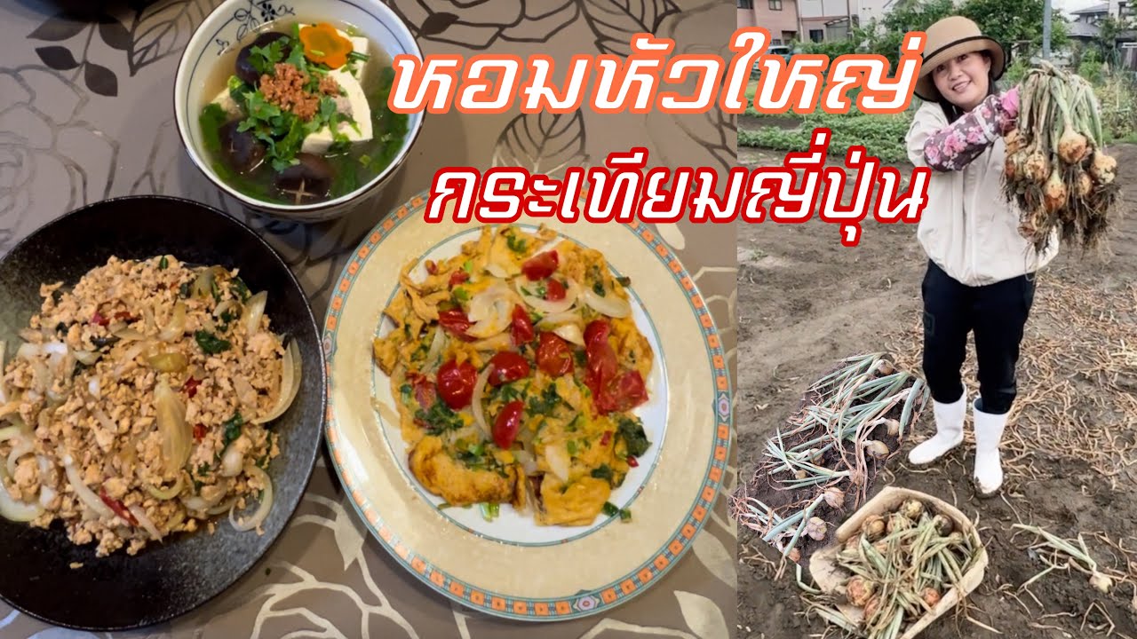 ถอนหอมหัวใหญ่ | กระเทียมญี่ปุ่น หัวใหญ่มาก เอามาทำอาหารไทยบ้านๆ 3 เมนู อร่อยจุกๆ🥰