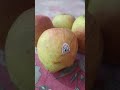 Apple 🍎 eating short