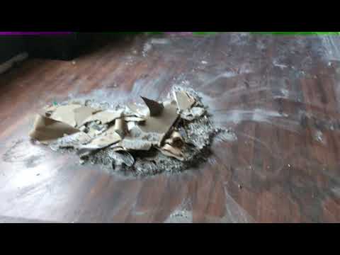 118 Cape Jasmine Way, Lexington, SC home video tour
