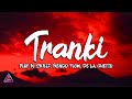 Play-N-Skillz, Ñengo Flow, De La Ghetto - Tranki (lyrics/letra)