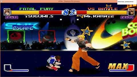 cpu vs cpu  -Tsugumi vs Mr. Karate