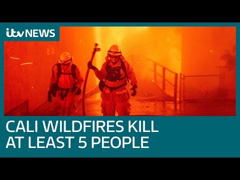 Five killed in