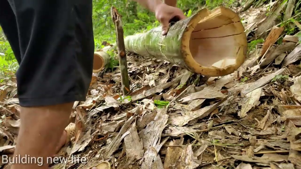 Full video 80 Days Alone Building farm - gardening - Building life | Farm life