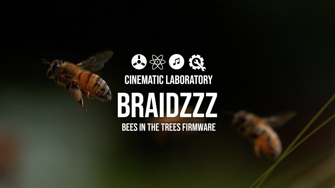Braidzzz | w. Bees in the Trees firmware