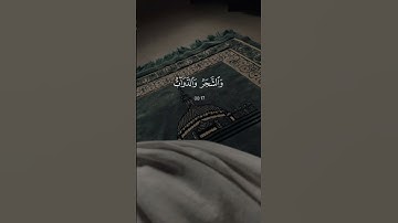 #قران_كريم #المصحف #الرحمن #احمد_العجمي #راحة_نفسية #مطر #سورة_الواقعة #لايك #اكسبلور