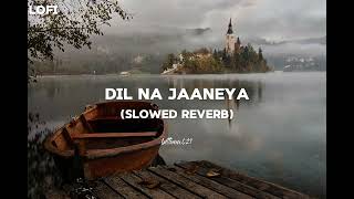 Dil na jaaneya❤️🌺✨ #fyp #song #music #love #reletable #slowedandreverb #new #arjitsingh 