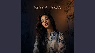 Soya Awa