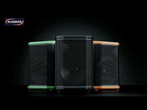 Wholesale AUSMAN Outdoor PA Speaker System AS-219 | Factory ...