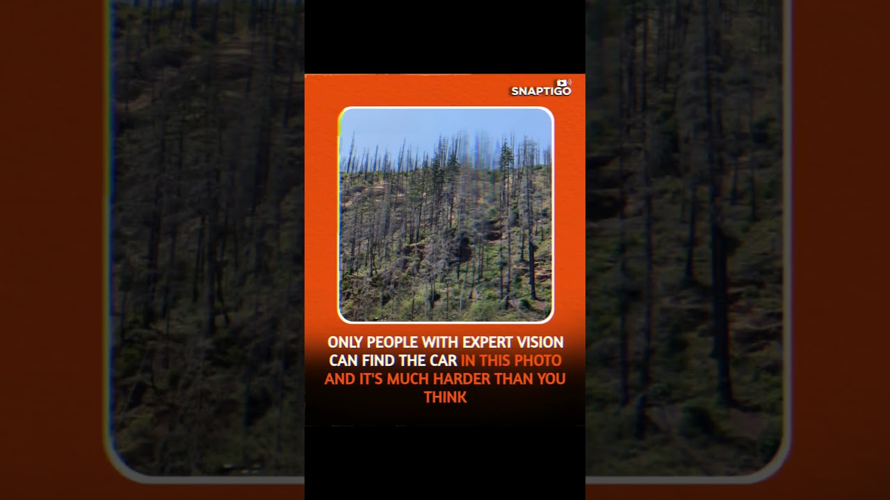 ONLY PEOPLE WITH EXPERT VISION CAN FIND THE CAR IN THIS PHOTO AND IT'S MUCH HARDER THAN YOU THINK