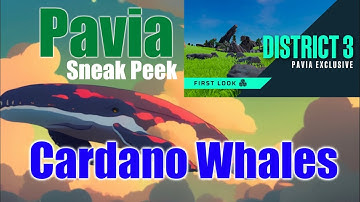 Cardano Whales And Pavia Metaverse Releases Sneak Peek  Of District 3