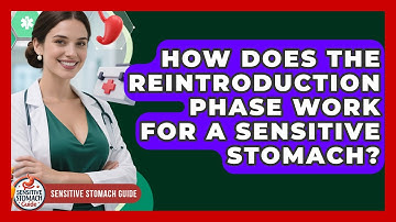 How Does The Reintroduction Phase Work For A Sensitive Stomach? - Sensitive Stomach Guide
