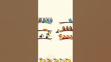 Bird colour sort puzzle game 🎮#shortvideo #trending #game
