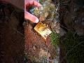 Luck Worked a Miracle! A Gold Brick Was Hidden Under an Ordinary Stone.😳💎💰😱💰#gemstones #crystals