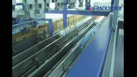 Case packer for doypack bag