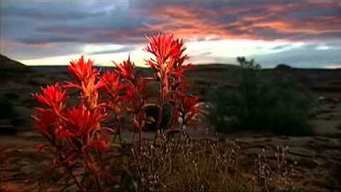 Surat Al-Thariyat Saad Alghamdi سورة الذاريات الشيخ سعد الغامدي