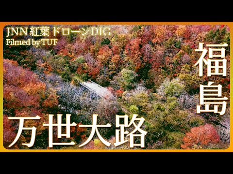 廃道の紅葉【JNN 紅葉ドローンDIG】|TBS NEWS DIG