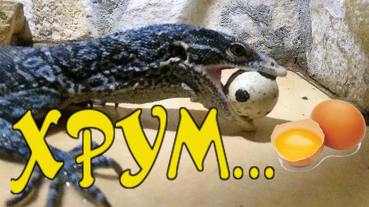 Время хавать пиццу