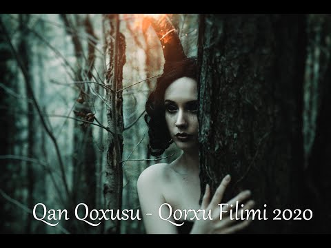 Video: Qan Qorxusunun Adı Nədir