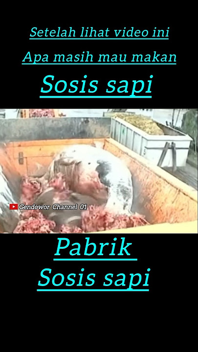 pabrik pembuatan sosis sapi #pabrik #sosis #sapi