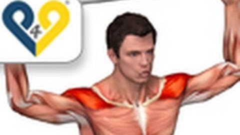 Rotator cuff exercises - Cuban rotation