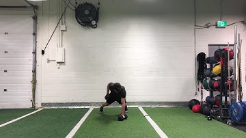 Dumbbell Plank 3 Point Row