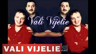 Video thumbnail of "Vali Vijelie si Costi - Hai nevasta"