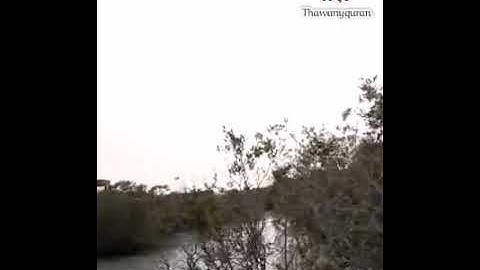 كلا إذا بلغت التراقي وقيل من راق(ثواني قرآن كريم بصوت الشيخ أحمد العجمي سورة القيامة)حالات واتس قرآن