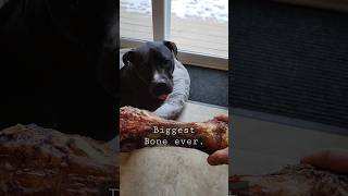 Big Bone For Hero