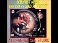 Scientist meets the crazy mad professor  at channel one studio  dub of the good vibes 20