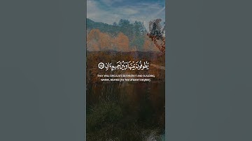 يعرف المجرمون بسيماهم 🍂🥀🎧 للقاريء#احمد_النفيس #quran #اكسبلور #تلاوات #راحة_نفسية #تلاوه