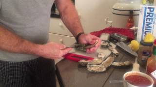 Oyster Knives And Shucking Oysters With Exoman Review Of New Shucking Kit