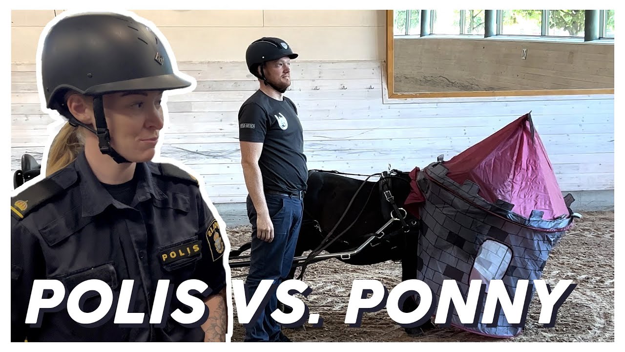 MONSUN vs WILLY WONKA | Ponnyexpressen utmanar Polisrytteriet i Stockholm