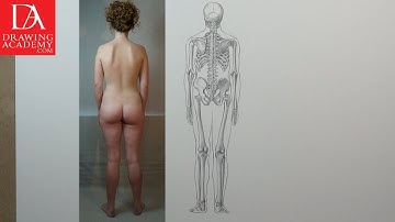 Skeleton Bones presented by Drawing Academy .com 16-1
