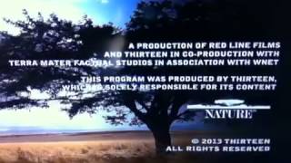 Wnet Thirteen Logo 2013