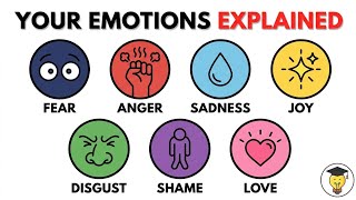 Why You Feel What You Feel (The Science of Emotions Explained)@EverythingProfessor @SticklyExplains 