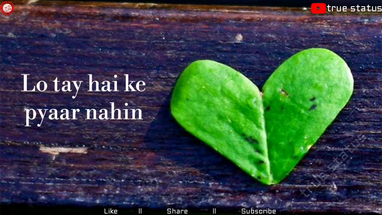 Video saver logos. Status true. Abbyy finereader шрифты. Status true. Status true.