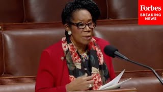 Sheila Jackson Lee: 'The Border Is Not In Crisis,' Biden And Harris Know How To Address It