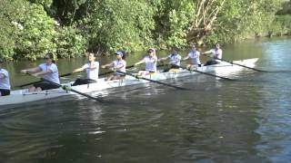 Wolfson W1, May Bumps 2015 [oarstack]