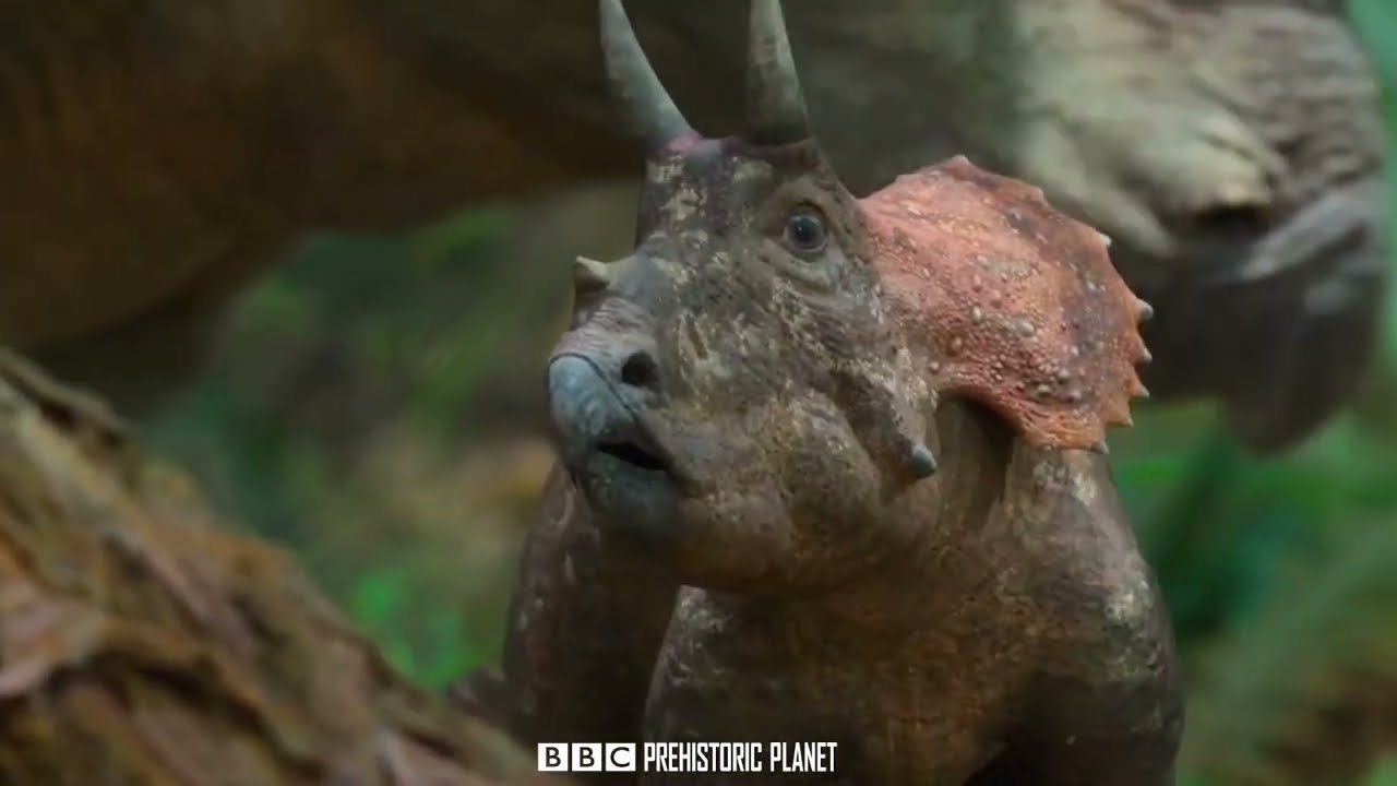 Cute Triceratops baby \ BBC Prehistoric Planet 2022 \ Dinosaurs Documentary 2023 HD