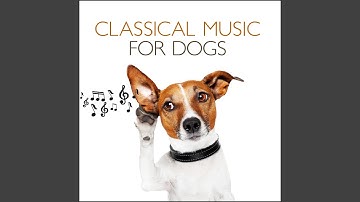 Handel: Water Music Suite No. 1 in F, HWV 348: 5. Air