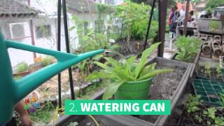 Top 10 gardening tips