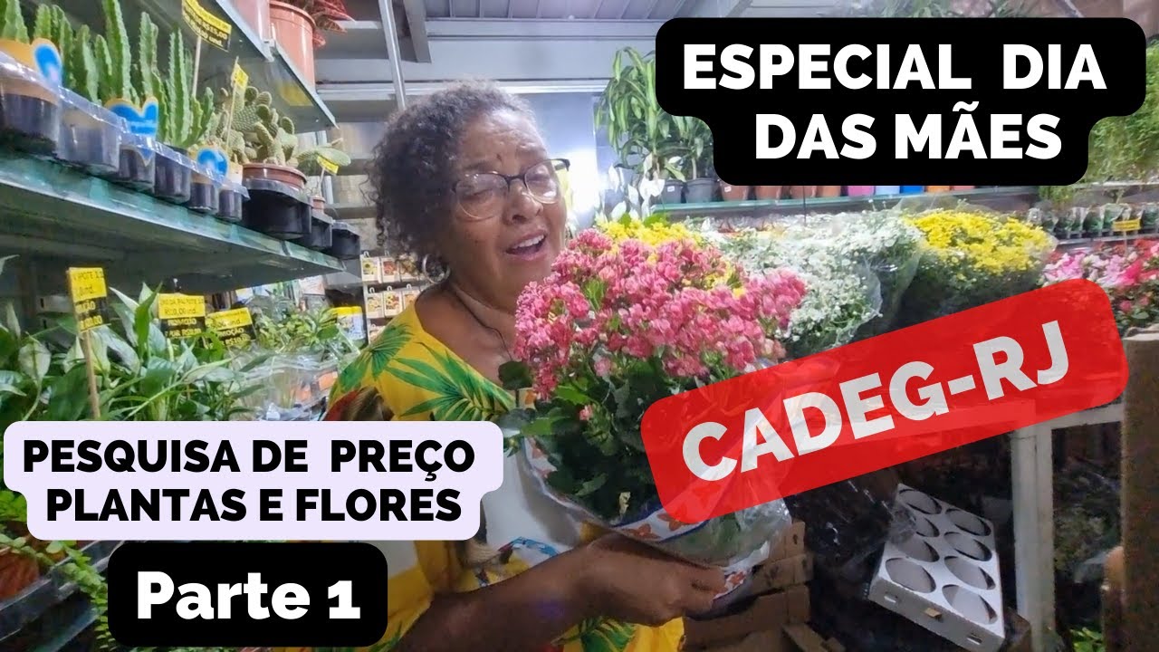CADEG-RJ ESPECIAL DIAS DAS MÃES | Pesquisa de preços de Plantas, Flores e  vasos. PARTE 1 - thptnganamst.edu.vn