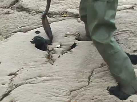 Part 1: All Washed Up, Lake Michigan's Algae Challenge
