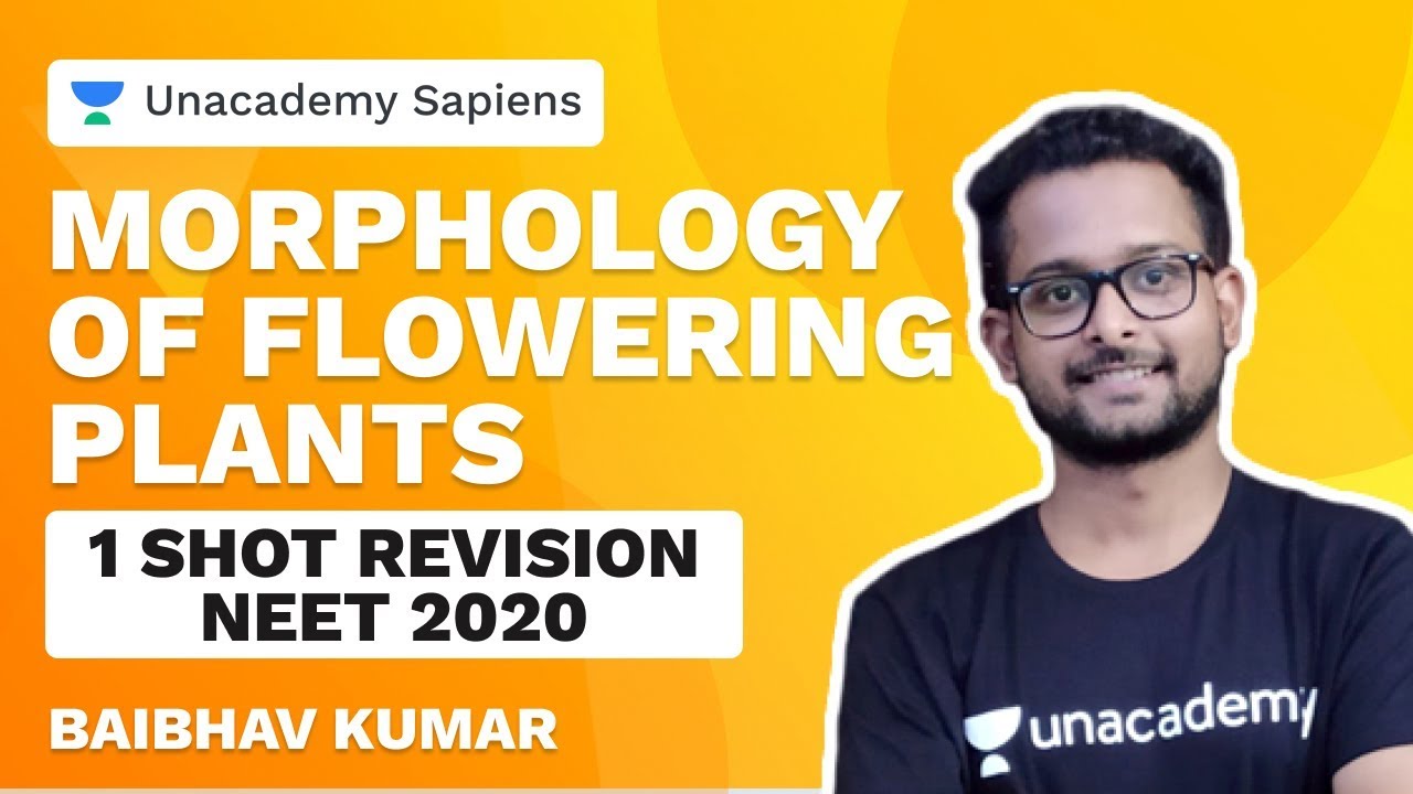 1 Shot Revision | Morphology of Flowering Plants | Baibhav Kumar | NEET ...