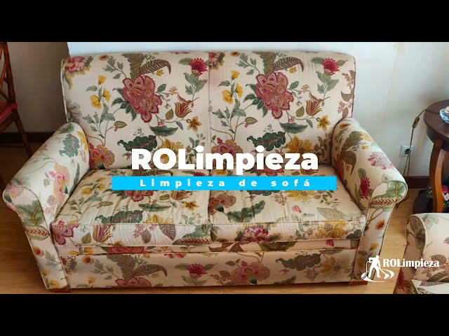 Limpieza profesional de sofa