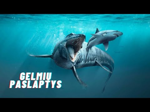 Video: Ar gyvena didieji b altieji rykliai?
