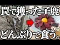罠で獲った子鹿の肉を丼にのせてかき込むだけ。