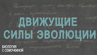 картинка: Движущие силы эволюции