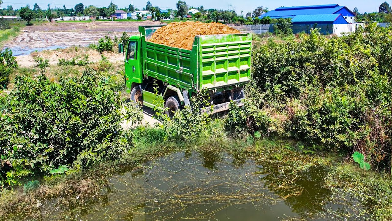 First Start Amazing Project!! Filling Land By Skills Dozer Pushing Stone Into Water Delete Flood
