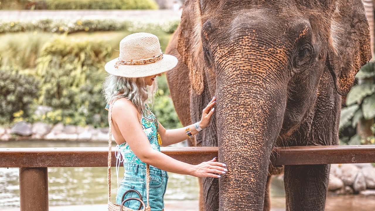 ELEFANTI in BALI + TURUL VILEI din UBUD | Ep. 2 🐘🐘